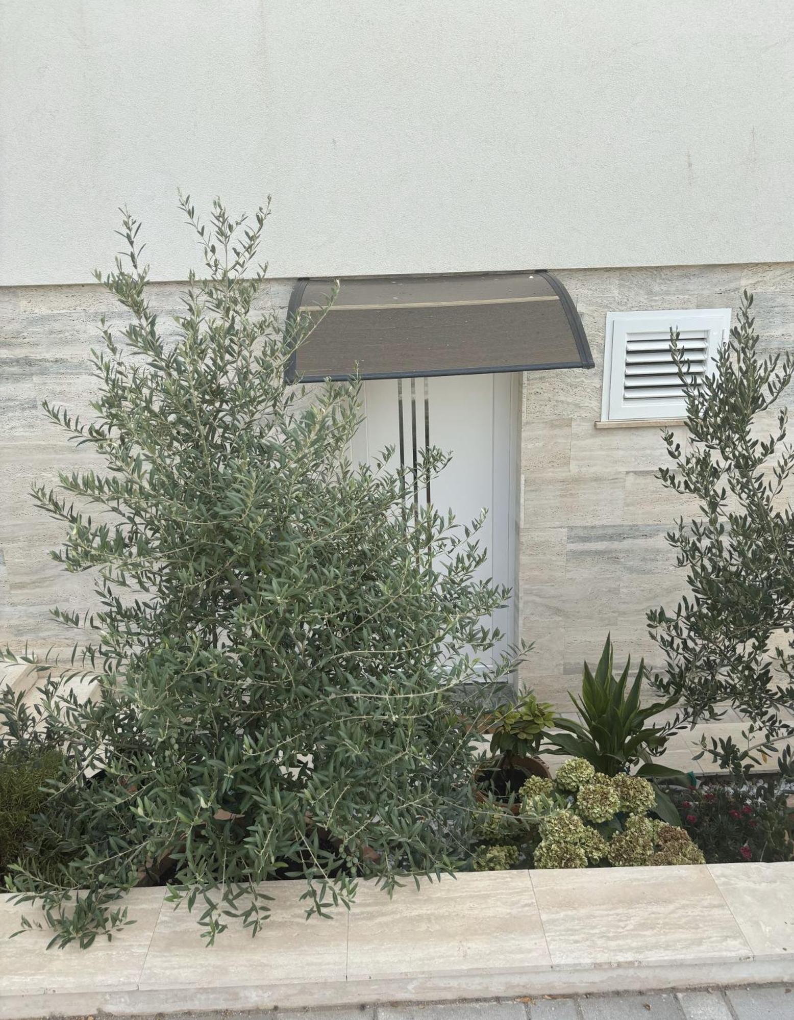 Vila Regina Apartment Rex With Swimming Pool 耶泽拉 外观 照片