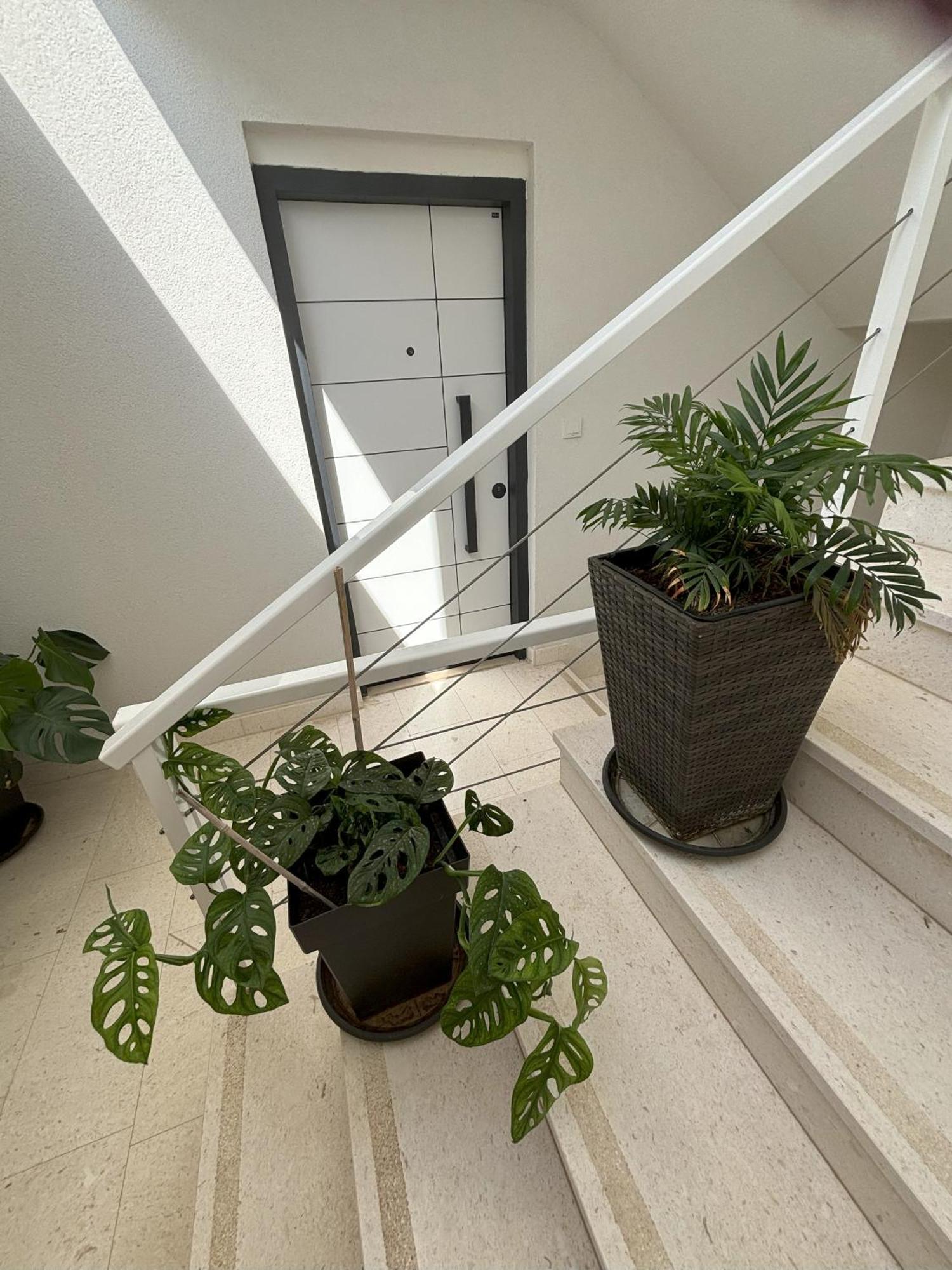 Vila Regina Apartment Rex With Swimming Pool 耶泽拉 外观 照片